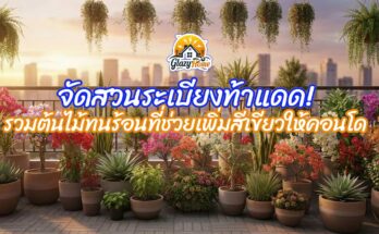 จัดสวนระเบียงท้าแดด ระเบียงคอนโด สวยด้วยต้นไม้ทนร้อนเพิ่มมุมพักผ่อนมุมสบายตาด้วยสีเขียวสีแห่งธรรมชาติ ระเบียงบ้าน ระเบียงหอพัก ก็สามารถทำได้เช่นกัน